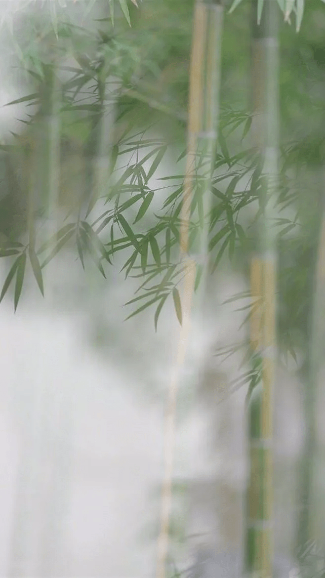 缘来则聚,缘尽则散,让来的来,让走的走.