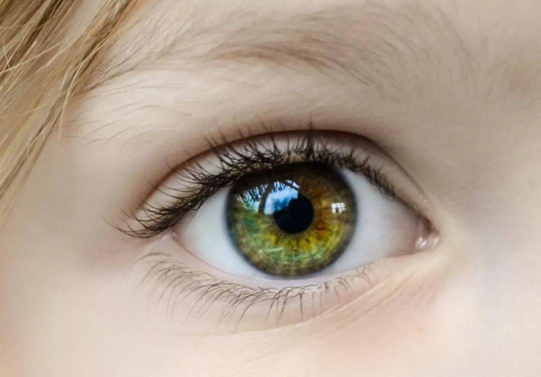 全国爱眼日 | 肽让眼睛更加健康明亮