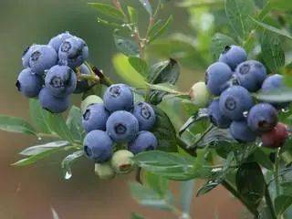 6bc0d59d173541e786ca3b97660a2f89.jpeg