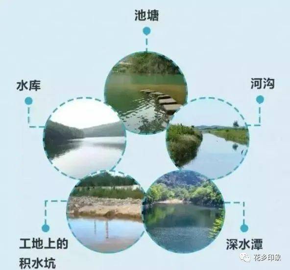 家长|家长同学们！防溺水知识学起来！