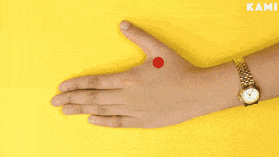 足三里在膝盖凹陷处下3寸,距离四指长的位置,就是足三里的穴位.