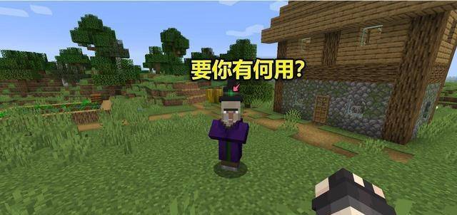 我的世界生存怎么两个人一起玩 cd8811f0223f4632ae43d9649885e48b.jpeg