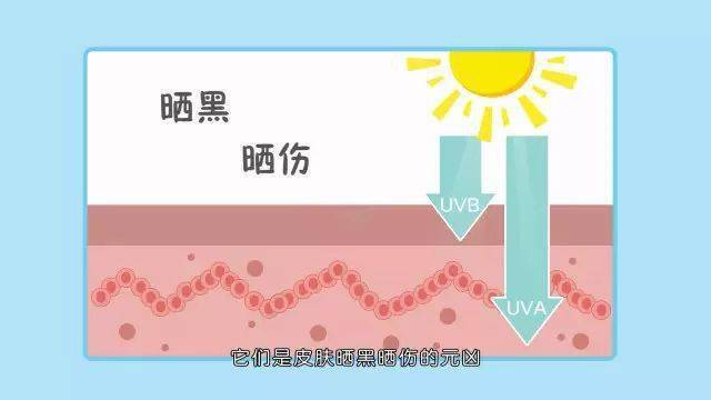 宝宝|宝宝的防晒攻略快来get~夏天到了