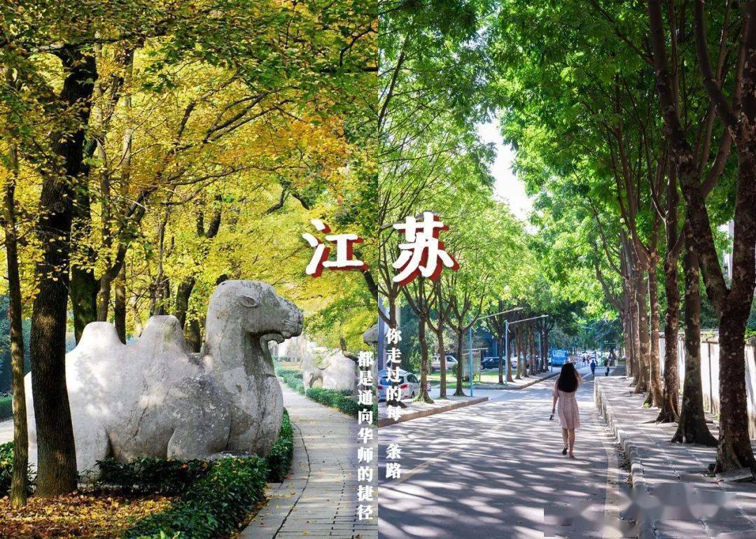 林世泉|梦想不延时华师在等你