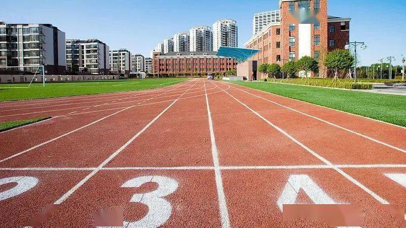 申报|如何精准备考面试?强基面试真经:申报完强基计划