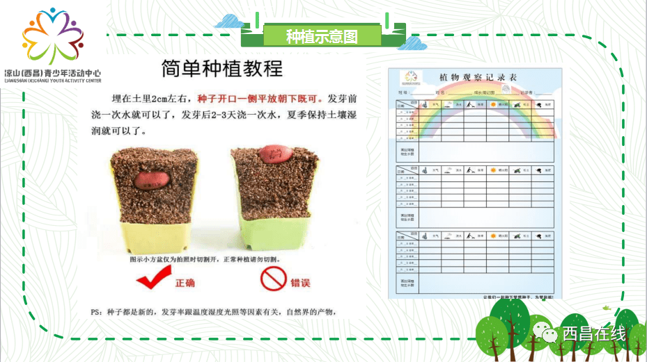 看完教程开始种植,一定记得每天填写观察记录表,微信打卡哦!