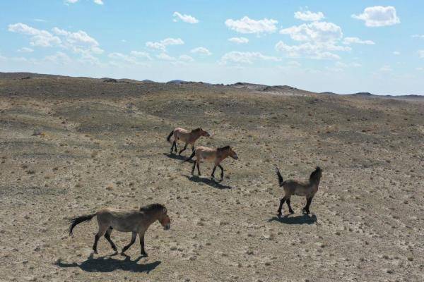 自然保护区|这一幅幅生命的画卷，好美！
