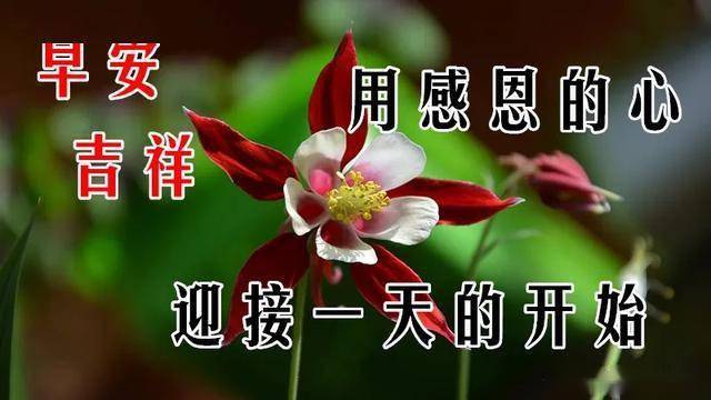 祝你早安简谱_祝你早安午安晚安视频(3)