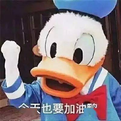 努力加油鸭