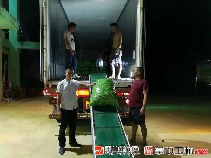 5万公斤白辣椒滞销告急,他们上门带货销售一空!