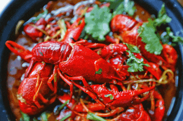 【助力潜江】钓虾撮虾 游章华台 打卡网红水杉大道 | 自驾美食休闲两