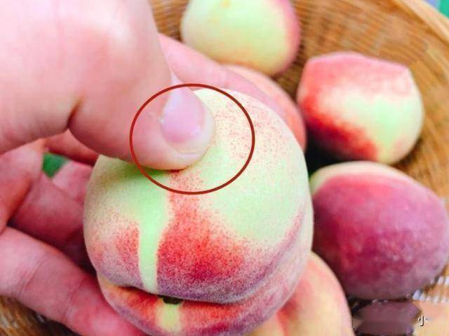买桃子就挑"公"的,香甜又多汁,教你5个挑选窍门,一挑一个准