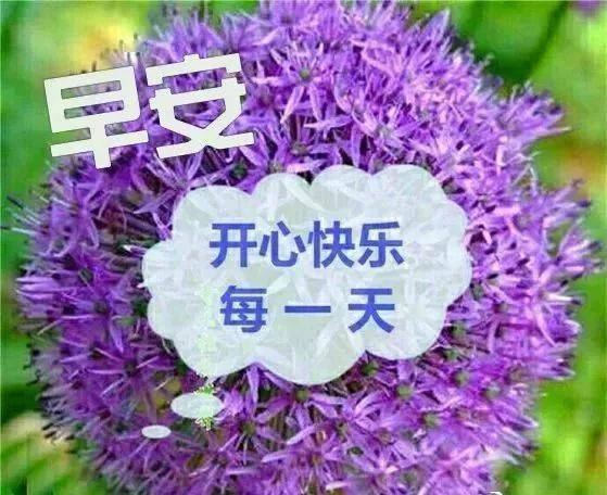 夏天早上好问候动态表情图片 夏季早安带字图片带祝福