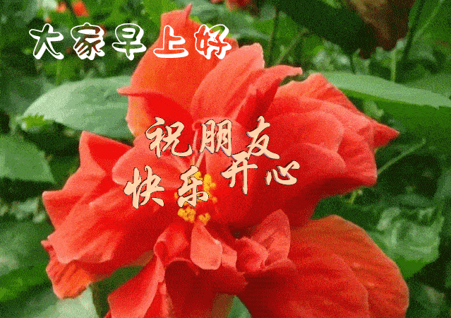 周末高兴!8.周一第一个问候送给你,让你有个好心情;第一个祝福送给你