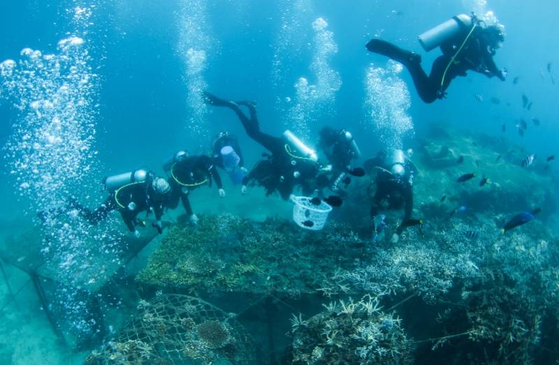 海域|中国首个热带海洋牧场雏形初现，组图揭秘如何在海底放牧养殖