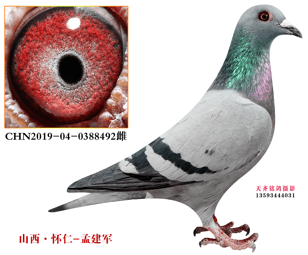 005410ac309d486b9ccd8809b8f77a43.png