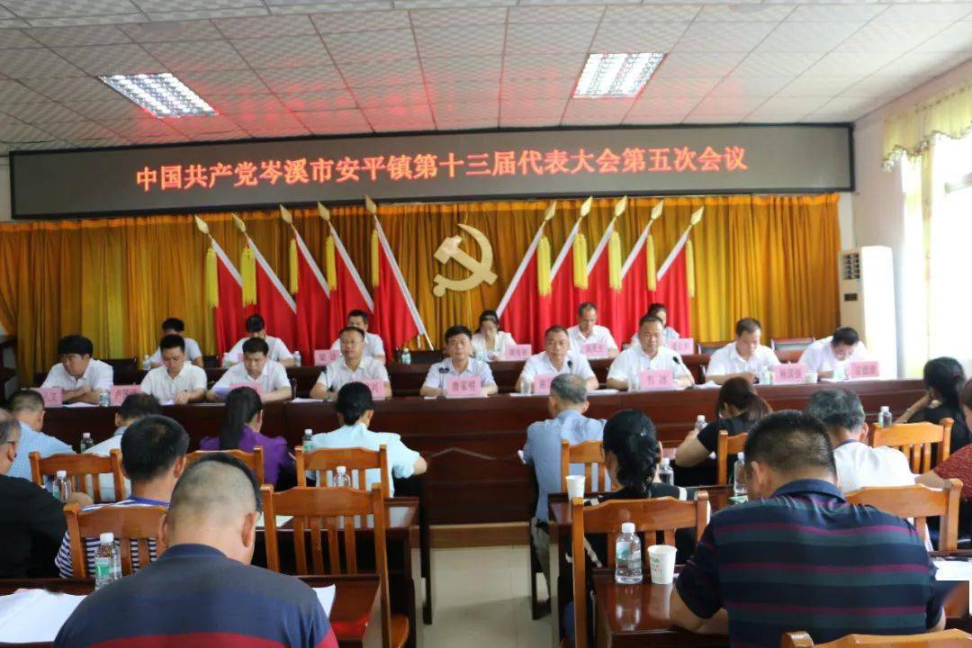 【牢记初心使命 勇于担当作为】中共岑溪市安平镇第十三届代表大会第
