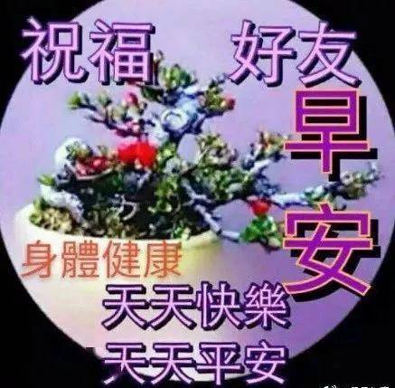 1be56fe320a84986af2a25992dd45a85.jpeg