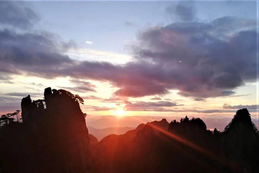 夏天的风,吹来了金色的黄山云海