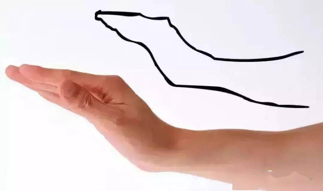 9959e5df6565418887af6f6ef7471623.jpeg