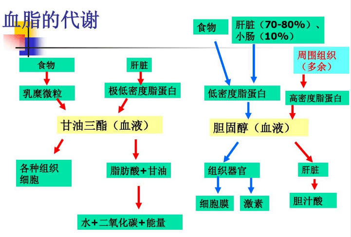 大夫我血脂不高就胆固醇高该不该吃药