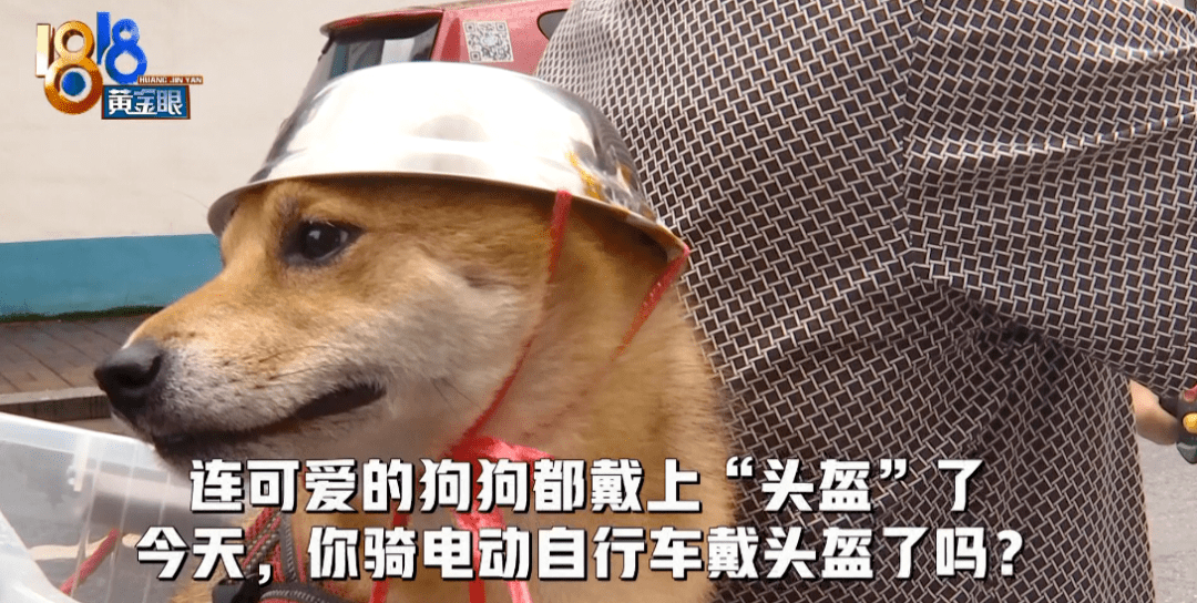 还有网友留言 想要表情包 网友掀起一阵 有没有被可爱到? 另外.