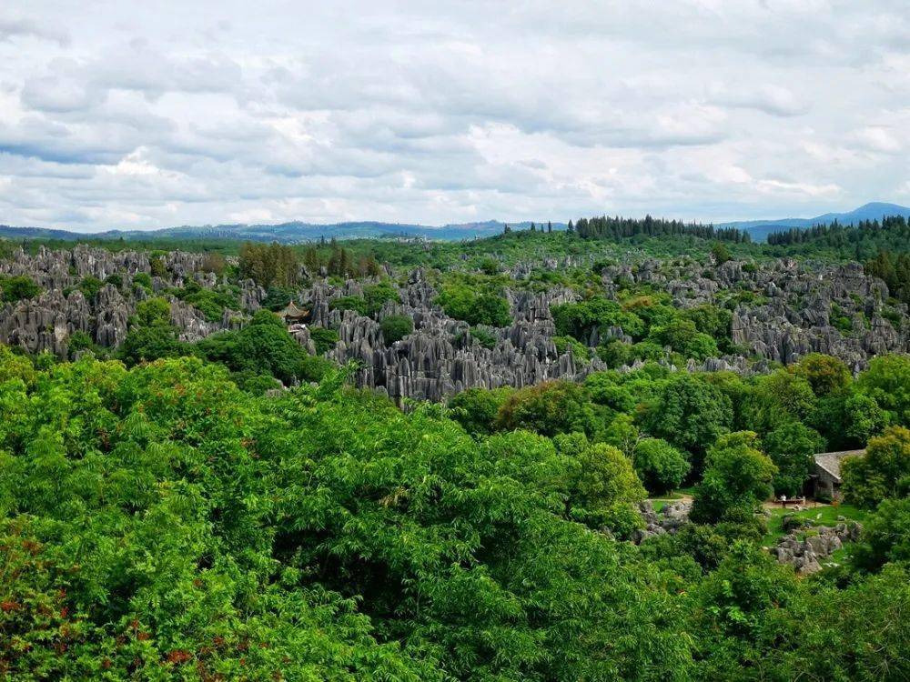 波哥带你看世界:世界自然遗产云南石林,亿万年形成的地质奇观