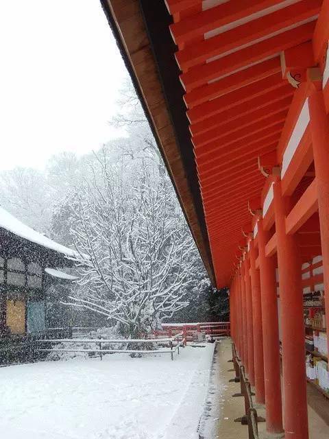 飘落在寺庙里的雪,美得出尘!