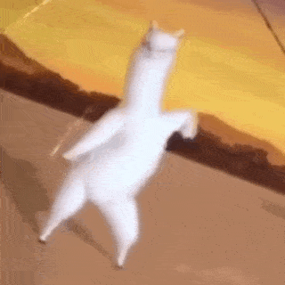 假如健身房的猛男,靓女开始摆地摊.这谁顶得住?