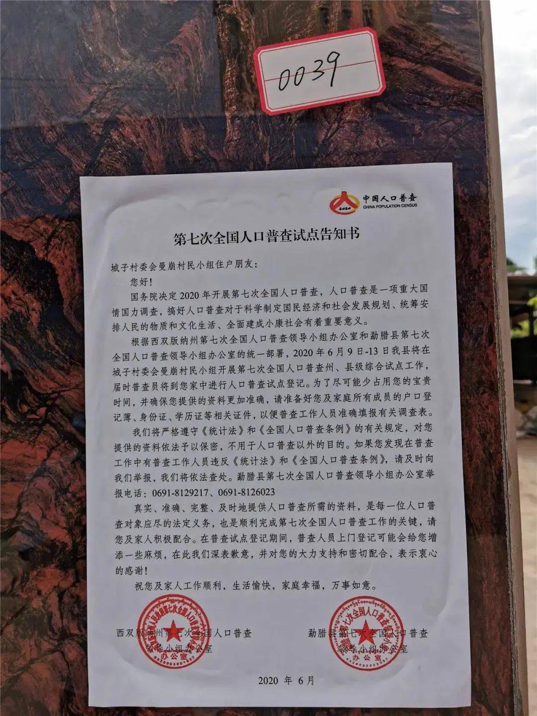 西双版纳人口2021普查_2021年西双版纳泼水节(2)