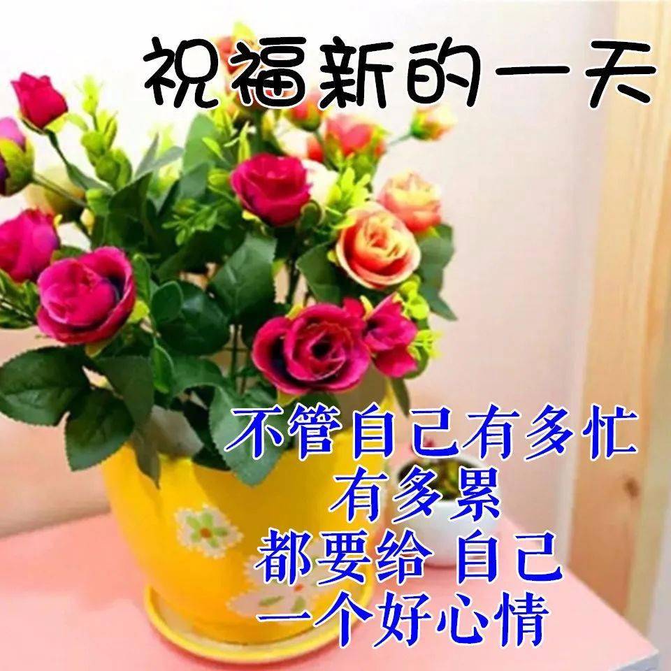 6月10日最漂亮早上好动态表情图片大全,早晨好动图美图大全