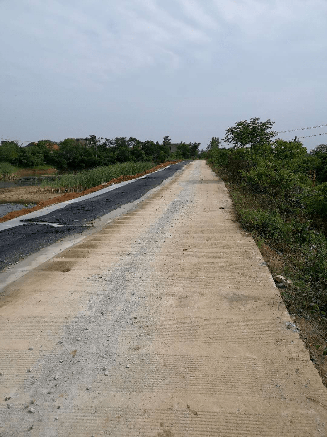 应城杨岭镇提档升级农村公路 为乡村振兴"加油助力"