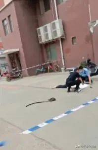 榆树市一女子坠楼身亡_长春
