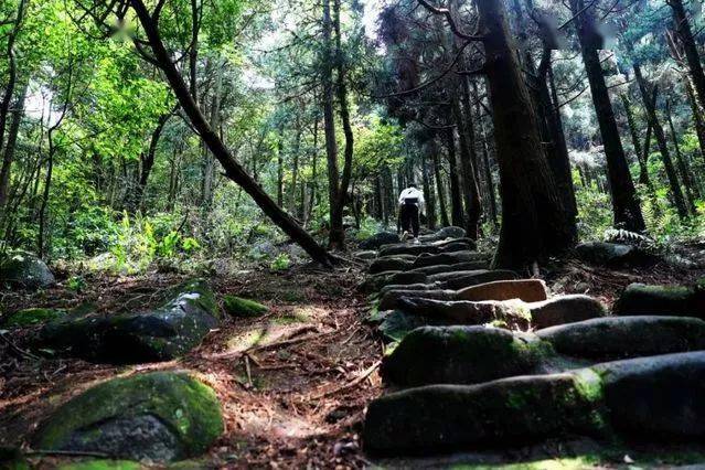 美极了贵港平天山顶惊现云海奇观