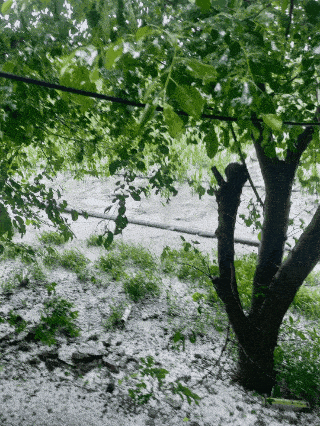 320_426 竖版 竖屏