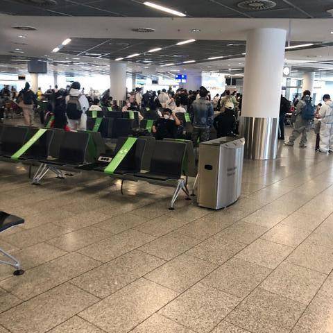 国际航班登机口怎么看 51da025057834a7289ec6553a35b92d0.jpeg
