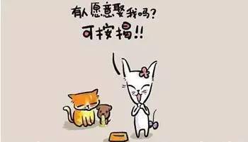 ae7717618d3a4f61a7b783d8ae661f34.jpeg