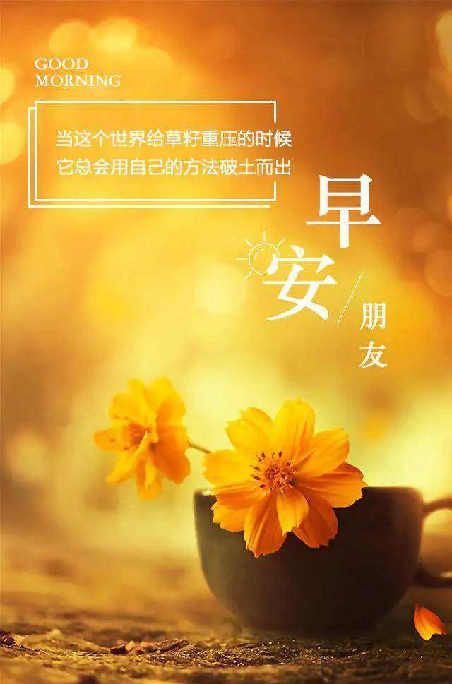 信未来一片光明,遇到挫折时也不要迷失了方向,早安