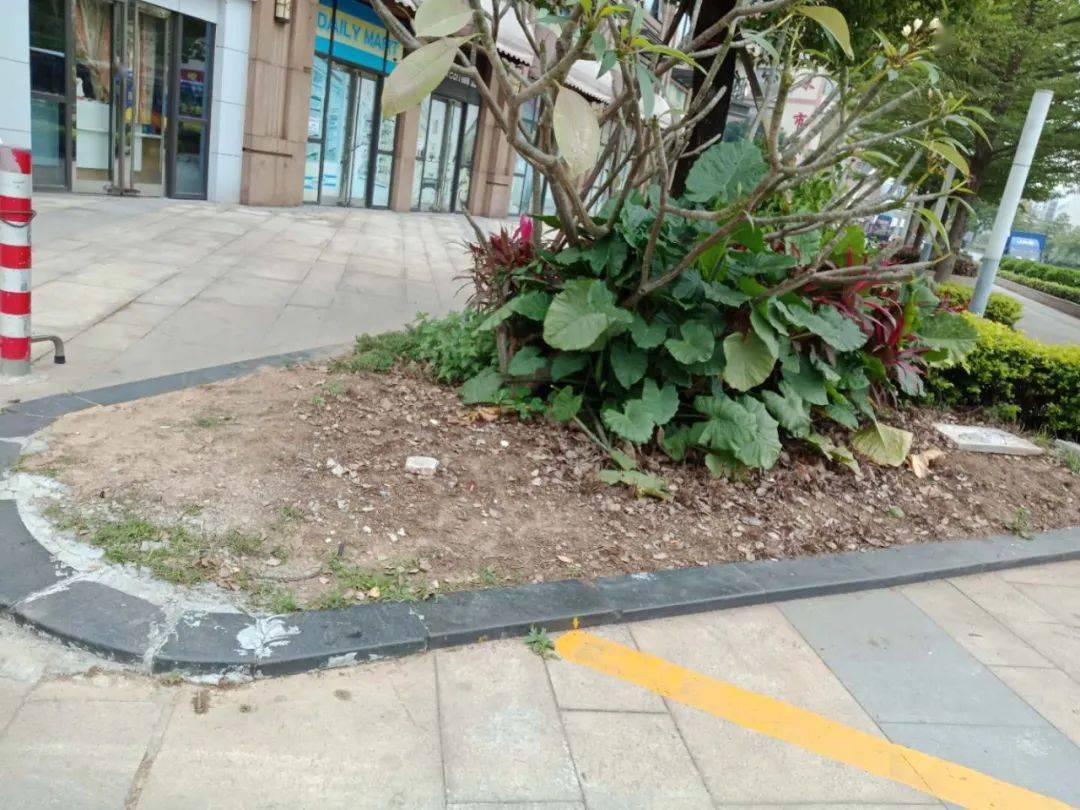 园林绿化排名_园林绿化