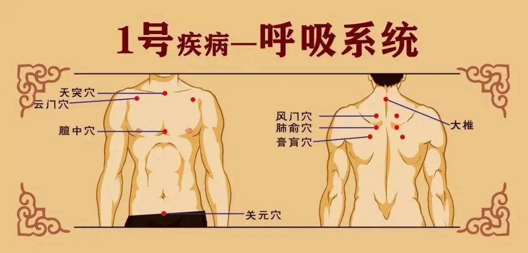 呼吸系统疾病 体虚易感冒,咽炎,过敏性鼻炎,各种慢性咳嗽,肺炎,哮喘