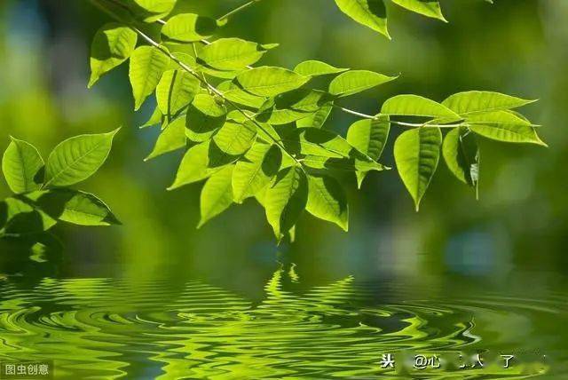 轻风细雨的下一句 830ed22ba7d6441fb5313bd3de0371ed.jpeg