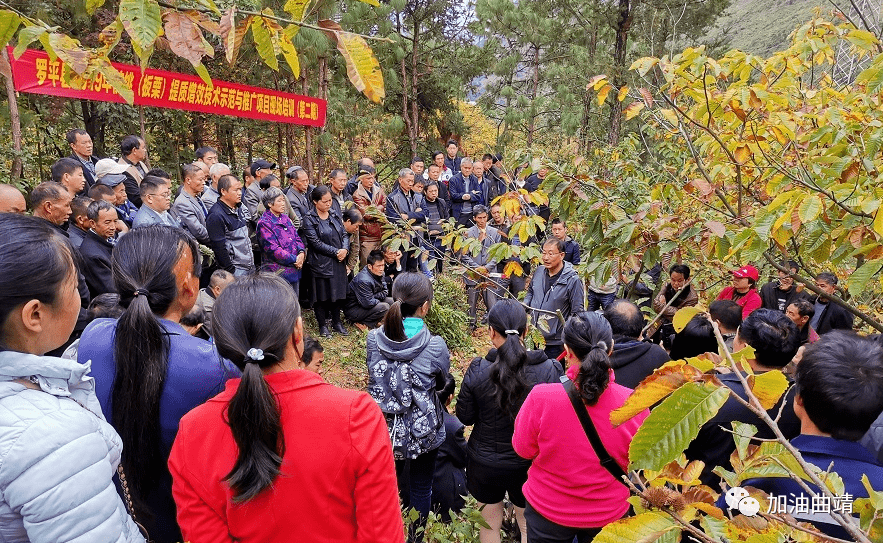 农村闲散劳动力人口多少_农村房子图片(3)