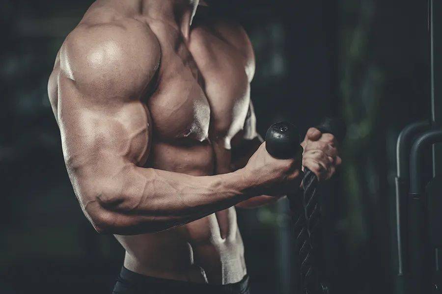 在家怎么练肩膀肌肉 9cb1851050964228aae5e47cb830fd9d.jpeg