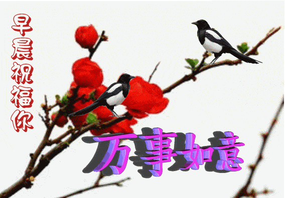 6月13日最新漂亮早上好动态鲜花图片带字,早安问候朋友的幸福语录