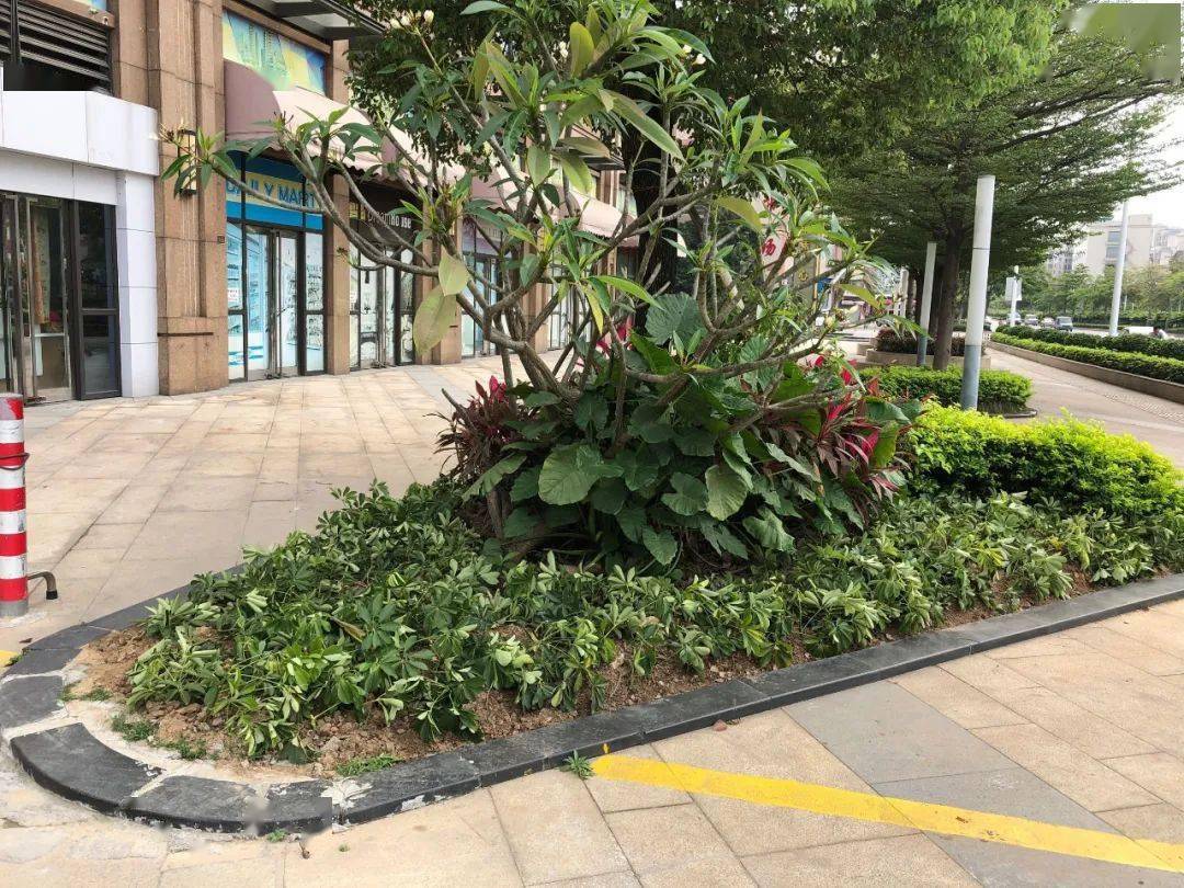 园林绿化排名_园林绿化