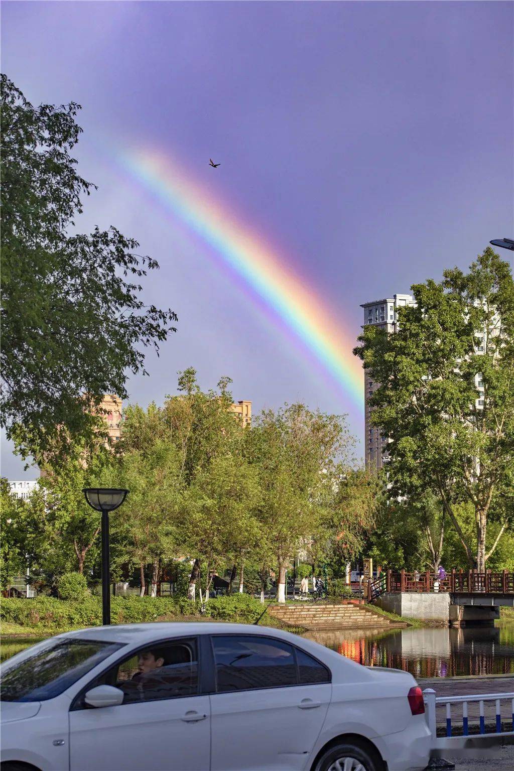 海拉尔市区雨后双彩虹!高清美图上映