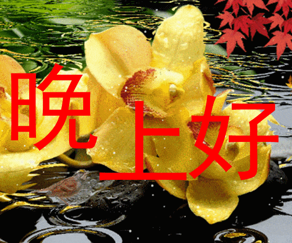 风渐吹,残霞如缀,陌上晚景留人醉,晚安