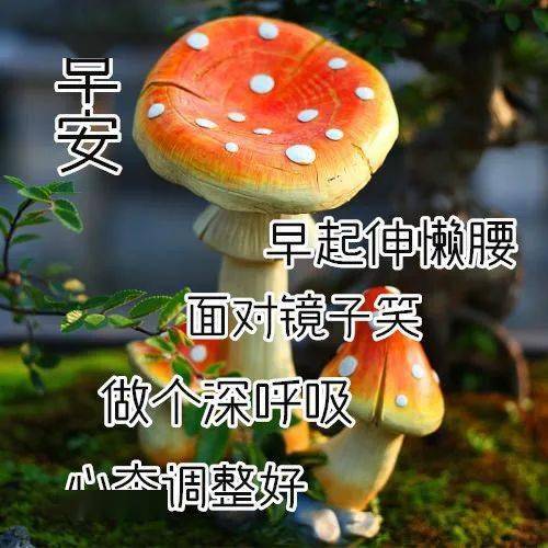 6月14日最漂亮早上好动态表情图片大全,早晨好动图美图大全