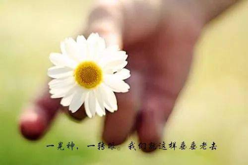 e2db1d1181be4b148babca5956ff4f55.jpeg