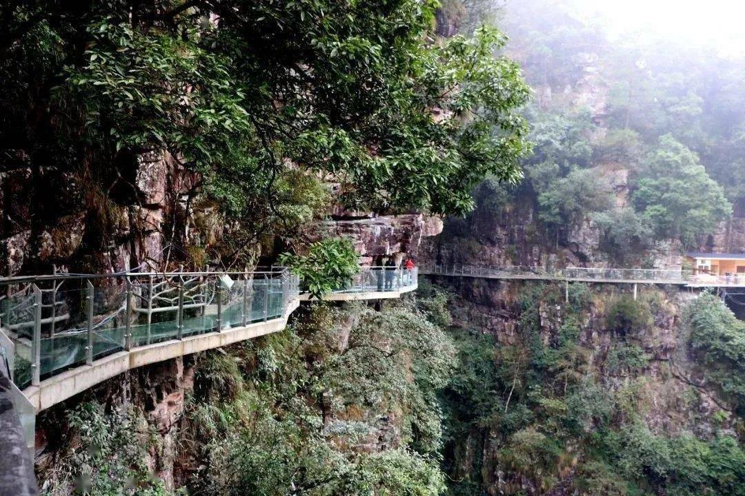飞龙玻璃栈道设计长度388米,落差168米,沿着山势蜿蜒崎岖,龙潭瀑布就
